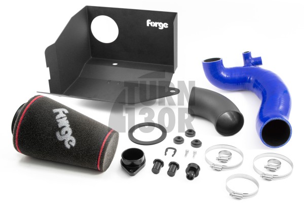 1.5 TSI EVO Ansaugung / VW / Audi / Seat / Skoda / Cupra - Forge Motorsport Ansaugung