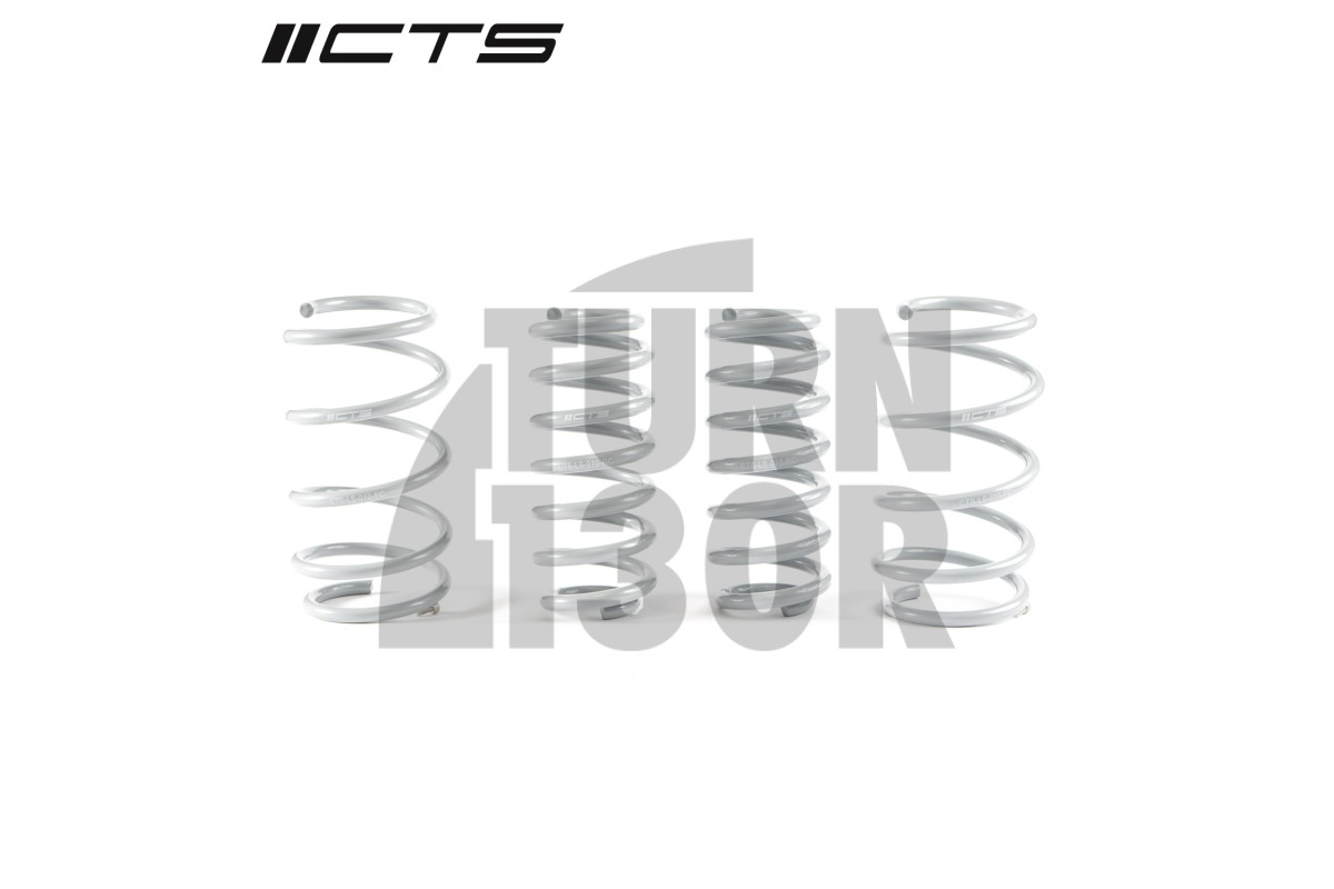 CTS Turbo -20mm Sportfedern Golf 8 R