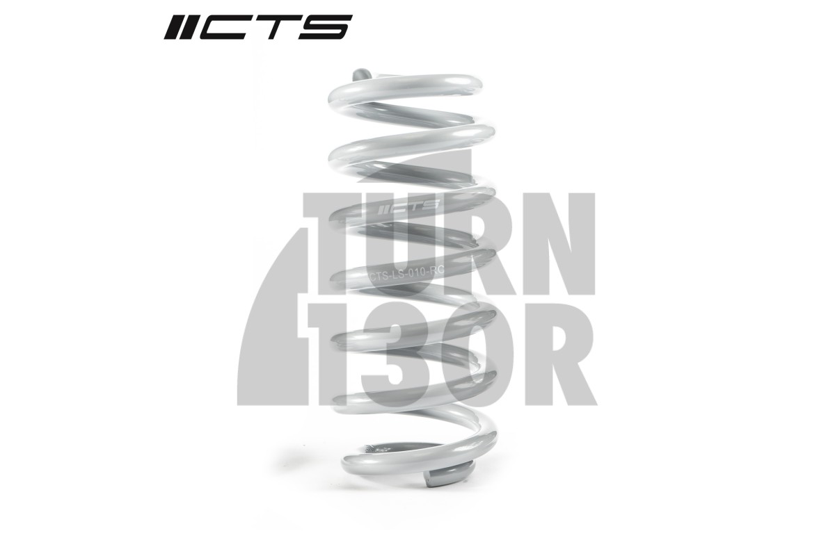 CTS Turbo -20mm Sportfedern Golf 8 R