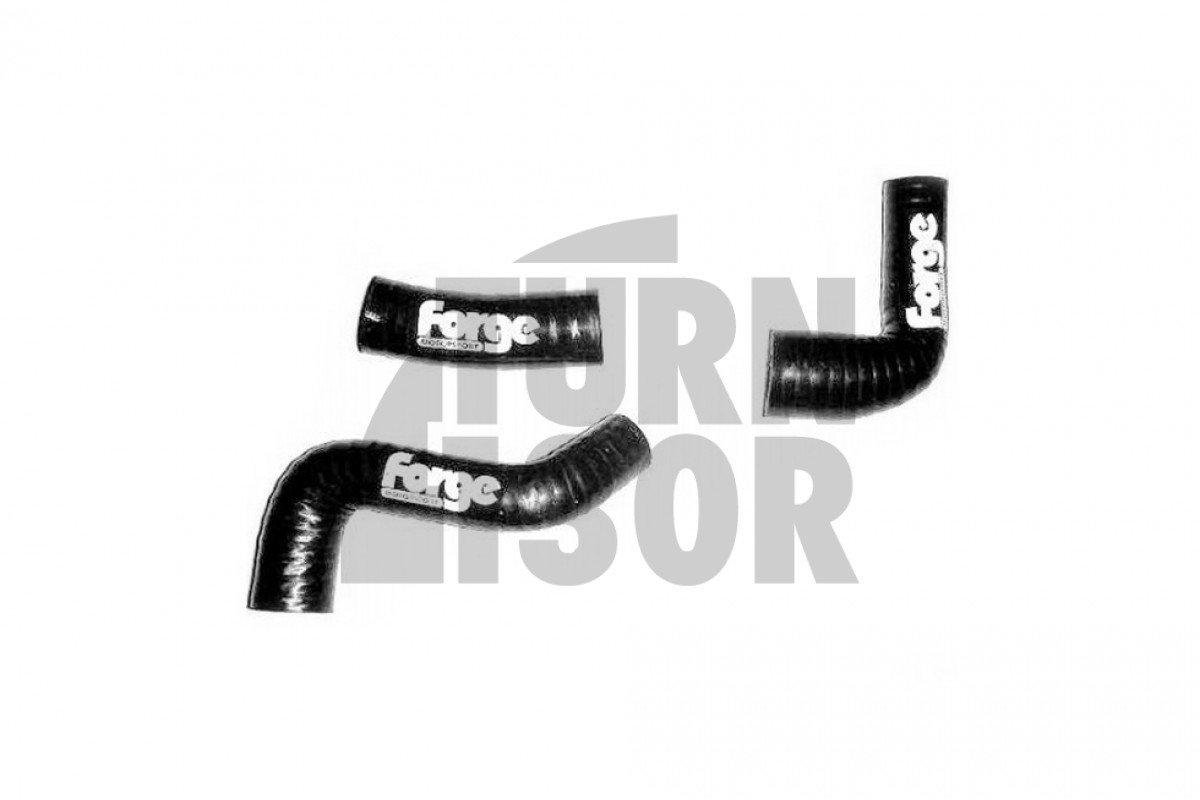 Forge Entlüftungsschläuche Kit Audi TT 8N / S3 8L / Leon Cupra 1M