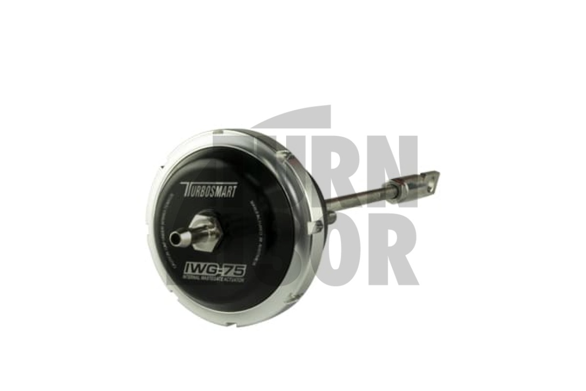 Turbosmart IWG75 Interner Wastegate-Turbo-Stellantrieb Abarth 595 (Turbo Garrett)