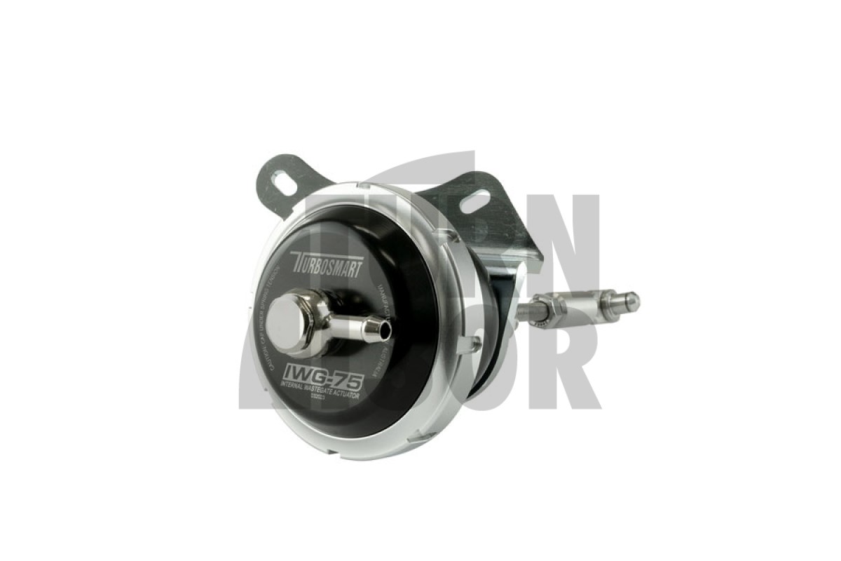 Turbosmart IWG75 Interne Wastegate-Turbosteuerung Abarth 595 (Turbo IHI)