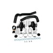 Turbosmart Dual Port Dump Valves BMW 135i / 1M E82 und 335i E9x N54