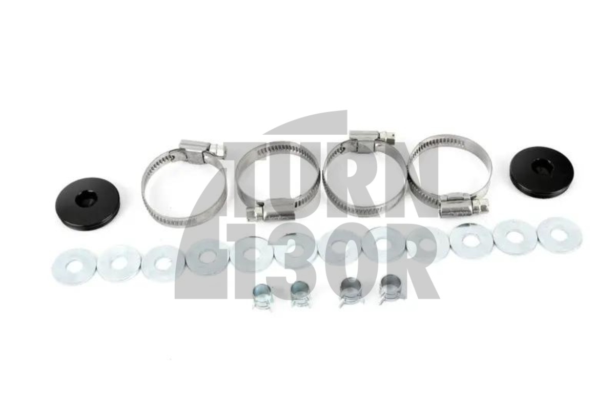 Turbosmart Dual Port Dump Valves BMW 135i / 1M E82 und 335i E9x N54