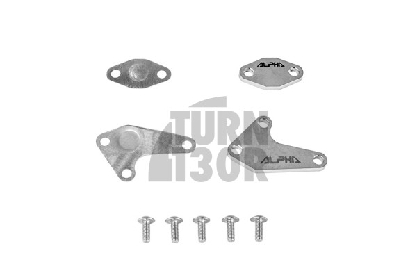 Alpha Competition Sekundärluftpumpen Löschkit Audi S4 B5 /RS4 B5 und RS6 C5