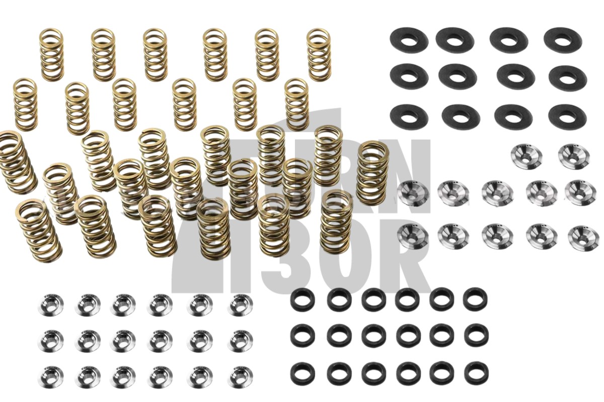 Audi S4 / RS4 B5 Ferrea Ventilfedern und Halterungen Kit