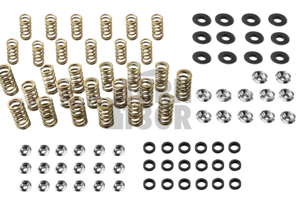 Audi S4 / RS4 B5 Ferrea Ventilfedern und Halterungen Kit