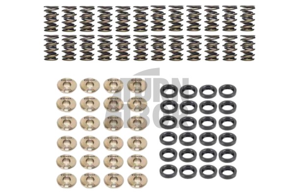 BMW M3 E36 3.0 / 3.2 Ferrea Ventilfedern und Halterungen Kit