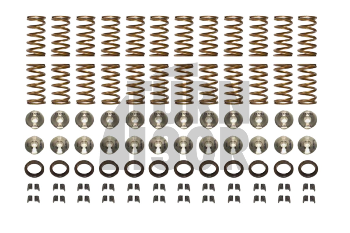 Nissan R35 GTR Ferrea Ventilfedern und Halterungen Kit