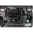 Do88 Evo Kaltluftansaugung für Audi A3 / S3 8V / TT 8S / Octavia 5E VRS