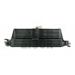 Black Mamba Mini Cooper S R56 / JCW Intercooler