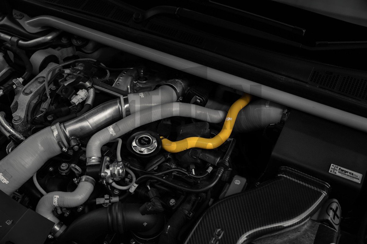 Forge Motorsport Oil Breather Silicone Hose for Megane 4 RS Forge Motorsport Oil Breather Silicone Hose for Megane 4 RS