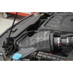 Do88 Air Intake for Polo AW GTI Do88 Air Intake for Polo AW GTI