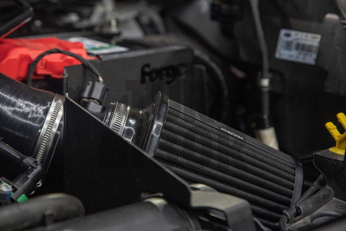 Forge Motorsport Ansaugung Ford Fiesta ST MK8 Forge Motorsport Ansaugung Ford Fiesta ST MK8