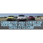 Forge Carbon Airbox Intake Golf 7 GTI / Golf 8 R / S3 8V / Leon 3 Cupra / S3 8Y 2.0 TFSI Forge Carbon Airbox Intake Golf 7 GTI / Golf 8 R / S3 8V / Leon 3 Cupra / S3 8Y 2.0 TFSI