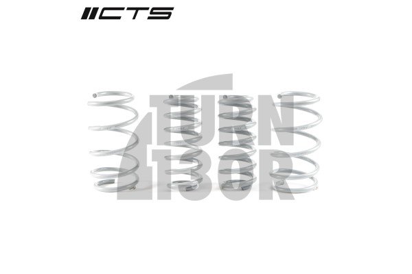 CTS Turbo -20mm Sportfedern Golf 8 R CTS Turbo -20mm Sportfedern Golf 8 R