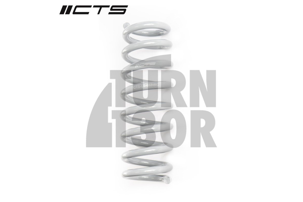 CTS Turbo -40mm Sportfedern für BMW 335i, 340i, 435i, und 440i F3x xDrive CTS Turbo -40mm Sportfedern für BMW 335i, 340i, 435i, und 440i F3x xDrive
