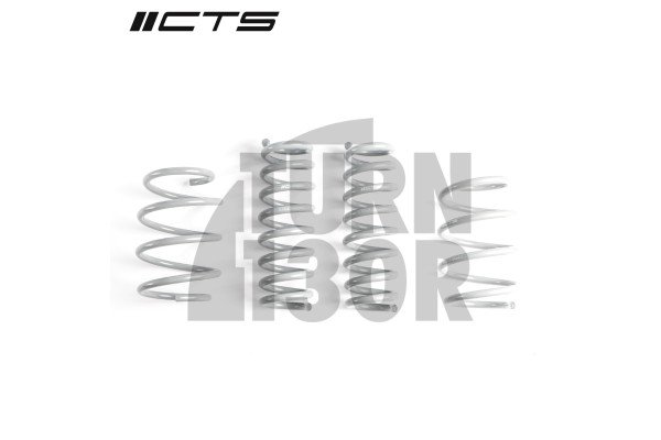 CTS Turbo -40mm Sportfedern für BMW 335i, 340i, 435i, und 440i F3x xDrive CTS Turbo -40mm Sportfedern für BMW 335i, 340i, 435i, und 440i F3x xDrive