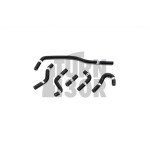 Schmiede-Silikon-Kohlenstoff-Kanisterschläuche Audi TT MK1 8N