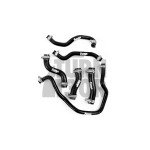 Forge Silikon-Kühlmittelschlauchsatz Honda Civic Type R FK8