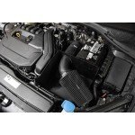 1.5 TSI EVO Ansaugung / VW / Audi / Seat / Skoda / Cupra - Forge Motorsport Ansaugung