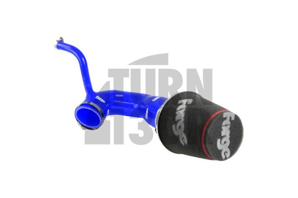 SEAT Ibiza / Skoda Fabia / VW Polo 1.2TSI-1.4GT 2015- Forge Motorsport Ansaugung