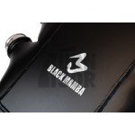 Black Mamba BMW M3 F80 / M4 F8x / M2 Comp F87 Intercooler Black Mamba BMW M3 F80 / M4 F8x / M2 Comp F87 Intercooler