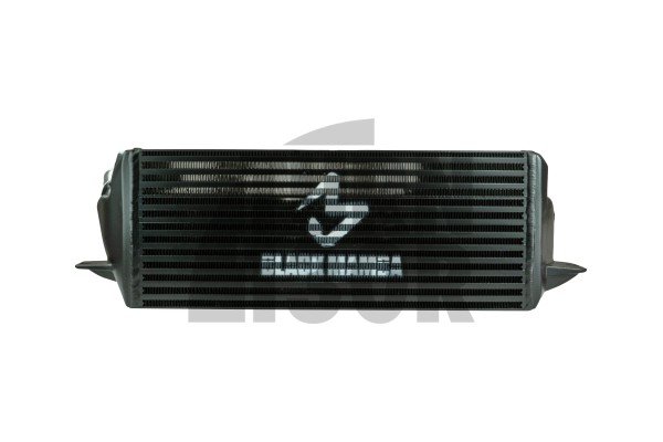 Black Mamba BMW 135i / 1M E82 and 335i E9x N54 Intercooler Black Mamba BMW 135i / 1M E82 and 335i E9x N54 Intercooler