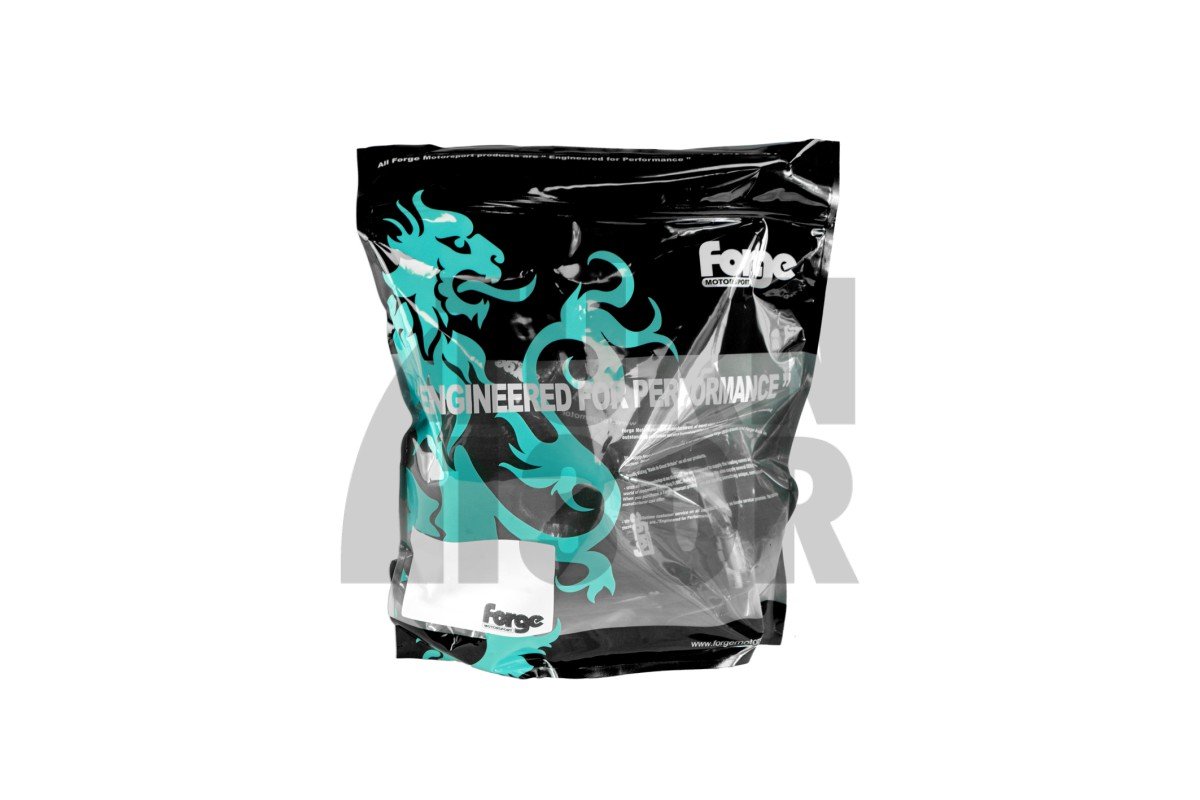 Forge Silikon Ansaugschlauch 595 Abarth mit Garrett Turbo