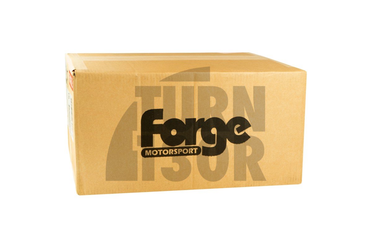 Forge Carbon Ansaugstutzen Fiat 500 / 595 Abarth