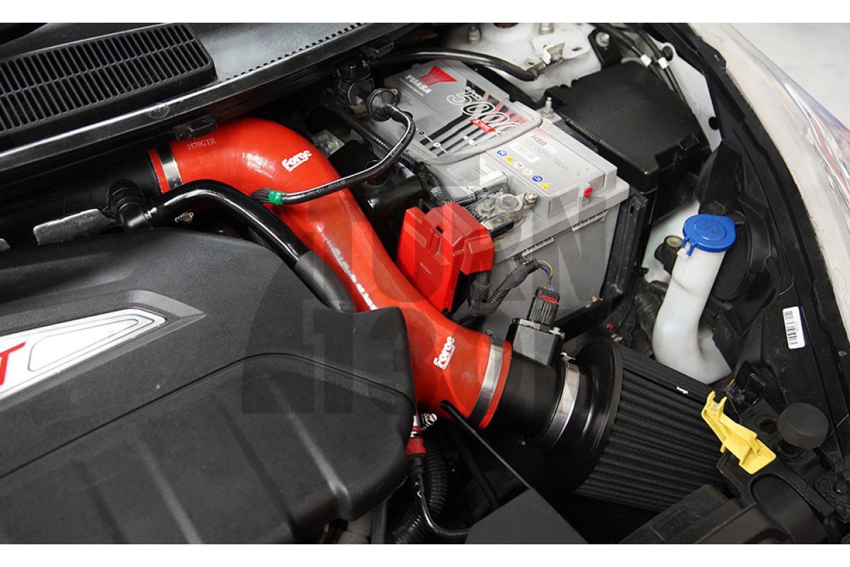 Schmiedeeinlass Ford Fiesta ST 180