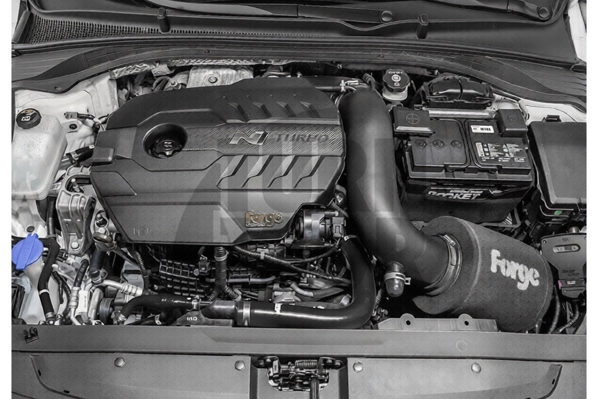 Forge Motorsport Ansaugung Hyundai I30 N