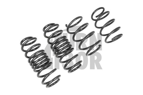 Racingline -20mm Sportfedern Golf 8 R Racingline -20mm Sportfedern Golf 8 R
