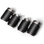 Akrapovic Slip-On Titan Auspuff für BMW M2 Comp F87