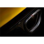 Akrapovic Evolution Line Auspuff für Megane 3 RS