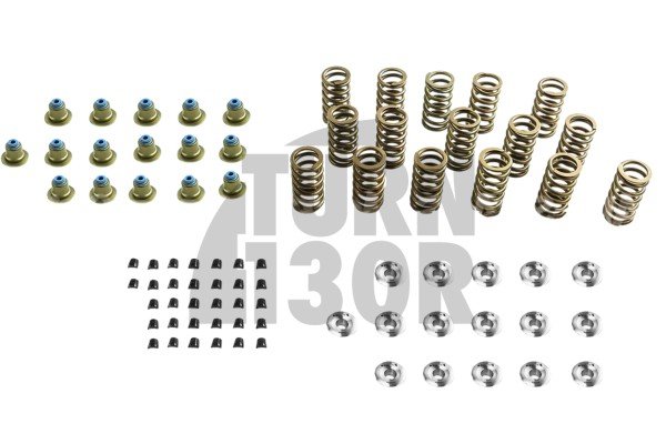 Focus 3 RS / Mustang S550 2.3 Ecoboost Ferrea Ventilfedern und Halterungen Kit Focus 3 RS / Mustang S550 2.3 Ecoboost Ferrea Ventilfedern und Halterungen Kit