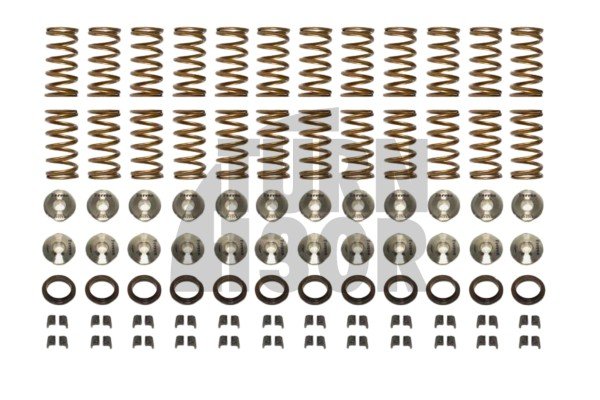 Nissan R35 GTR Ferrea Ventilfedern und Halterungen Kit