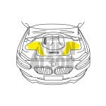 Forge Motorsport Kohlefaser Luftkanal M2 F87 135i / 235i F2x und 335i / 435i F3x