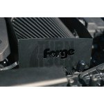 Forge Motorsport Carbon Ansaugtrakt Audi RS3 8V / RS3 8Y