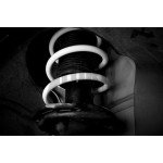 Golf 7 R Leyo Sport Federn