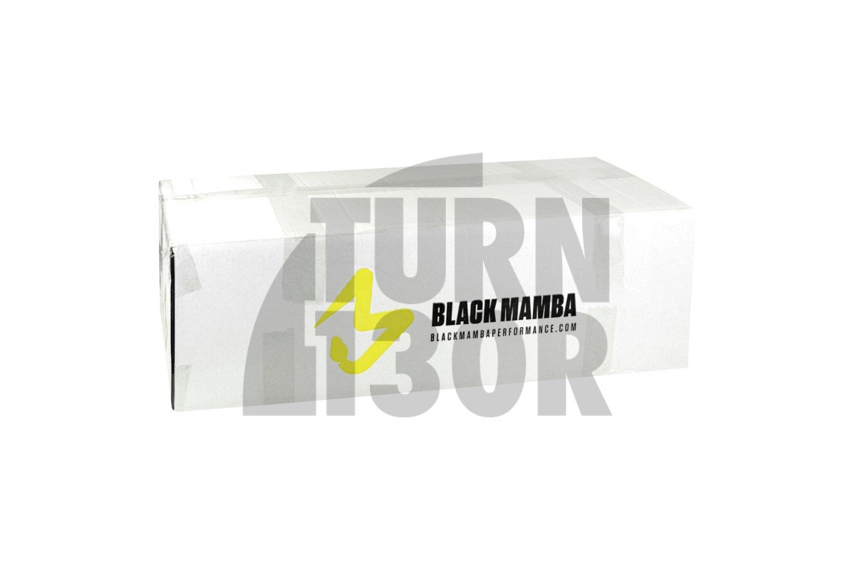 Black Mamba Intake for Golf 6 GTI / Scirocco / Leon 2 FR 2.0 TSI EA888