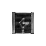 Black Mamba Mercedes A45 AMG W176 / CLA 45 AMG C117 Side Radiator
