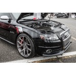 APR Sideburns Fender Decals Black or Silver / Red