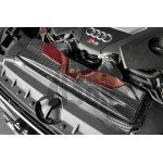 Armaspeed Kohlefaser Lufteinlass Audi RS6 C8 / RS7 C8 Armaspeed Kohlefaser Lufteinlass Audi RS6 C8 / RS7 C8