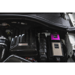 Armaspeed Kohlefaser Batterieabdeckung S3 8V / Golf 7 GTI / Golf 7 R / Leon 3 Cupra / Octavia 5E VRS