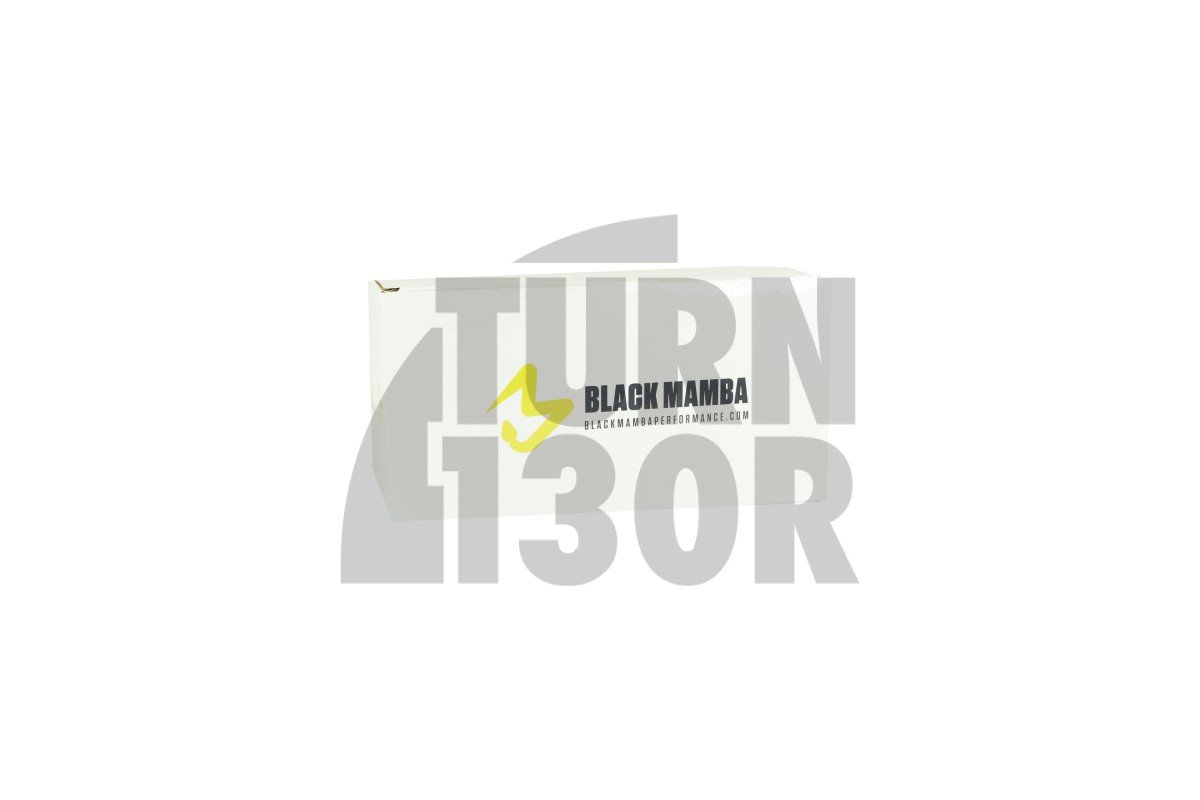 Black Mamba BMW 1M / 135i E82 et 335i E9x N54 Oil Catch Can Black Mamba BMW 1M / 135i E82 et 335i E9x N54 Oil Catch Can