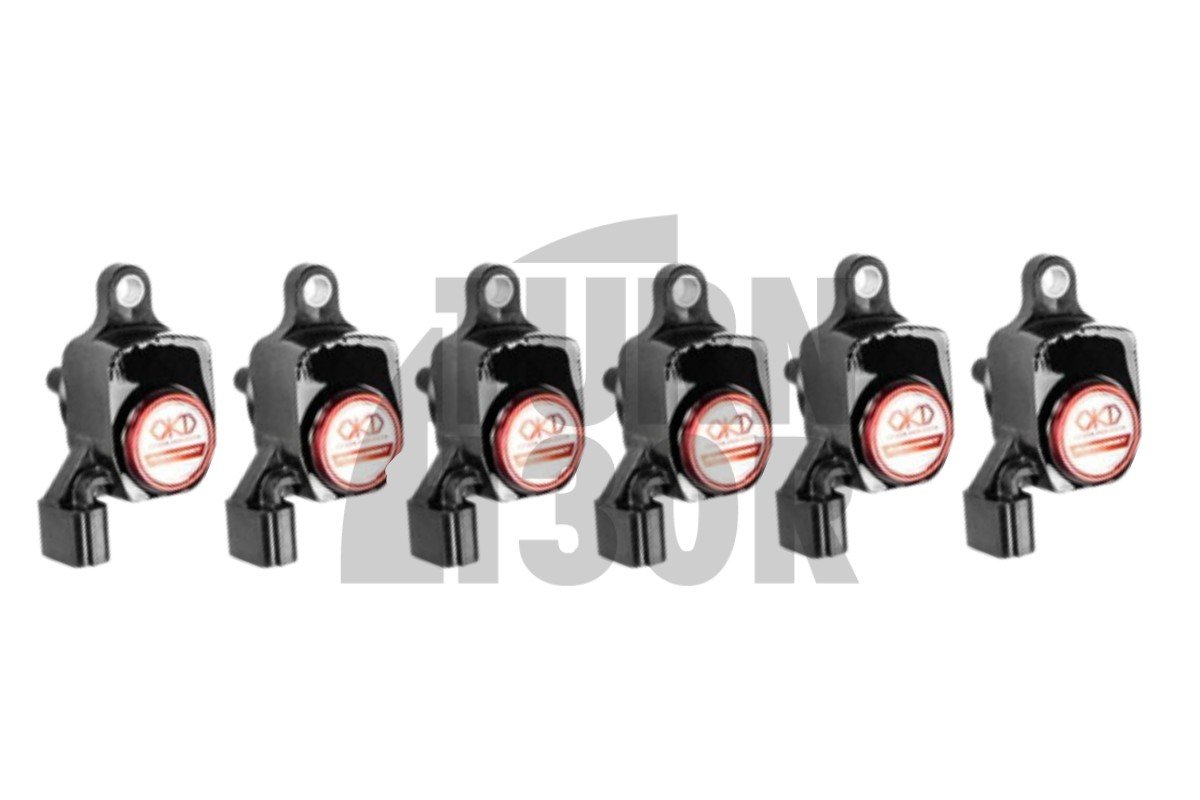 Nissan 350Z Okada Projekte Plasma-Zündspulen Nissan 350Z Okada Projekte Plasma-Zündspulen