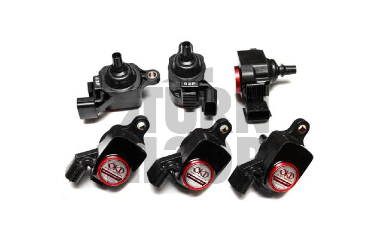 Nissan R35 GTR Okada Projekte Plasma Zündspulen Nissan R35 GTR Okada Projekte Plasma Zündspulen