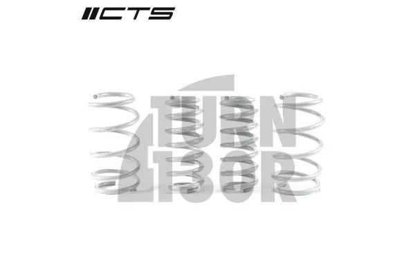 CTS Turbo -20mm Sportfedern Golf 8 R 