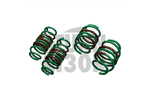 Tein S-Tech -45mm Tieferlegungsfedern Nissan 200sx S13
